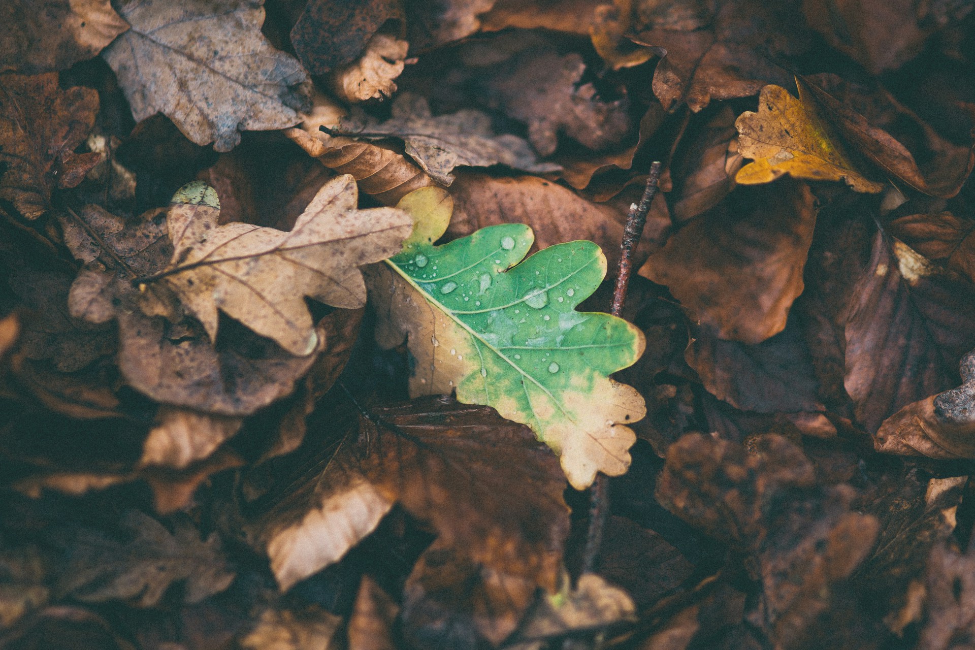 Seasonal Maintenance Plan